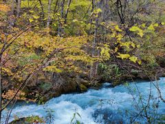 -叠溪松坪沟景区