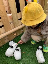 -萌宠亲子动物乐园(槐房万达店)