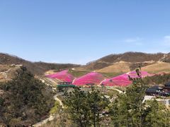 -威海华夏城景区