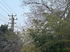 -协和菜馆(凤凰街店)