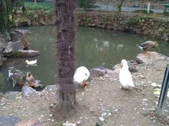 -南通博物苑-崇川人民公园