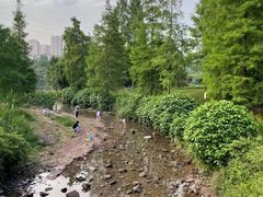 -重庆彩云湖湿地公园