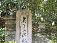 -莫干山风景区