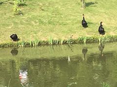 -瑶湖郊野森林公园