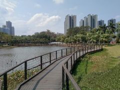 -映月湖公园