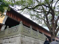 -普陀山风景名胜区-法雨禅寺
