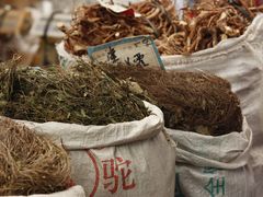 -清平中药材专业市场