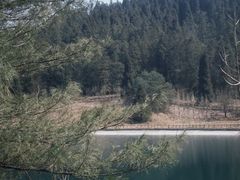 -武陵山森林公园