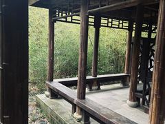 -苏州上方山国家森林公园