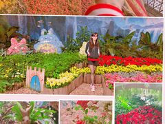 -花之城