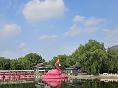 -莲花池公园