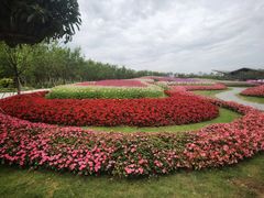 -东平国家森林公园