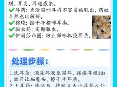 -康成宠物医院24H·CT·核磁共振
