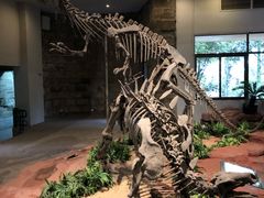 -自贡恐龙博物馆