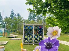 -前小桔亲子创意农场·草莓采摘·露营烧烤