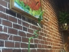 -牧之源炭火烤羊腿(沽源店)