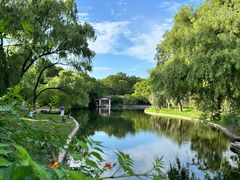 -上海共青森林公园