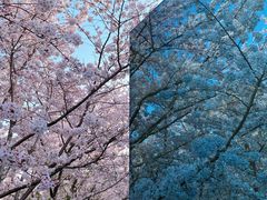 -龙美术馆(西岸馆)