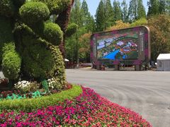 -东平国家森林公园