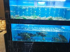 水产区-海玥荟海鲜姿造自助餐厅(欧罗巴广场店)