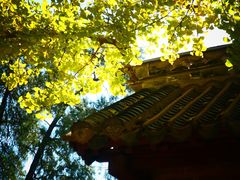 -浮来山风景区