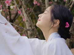 -望江楼公园
