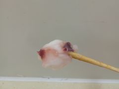 -2路车站小丸子(青泥洼桥店)