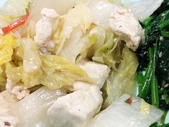 白菜炖豆腐-北京理工大学新食堂