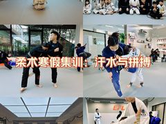 -EFL巴西柔术·综合格斗·泰拳·少儿体能训练(虹桥德必馆)