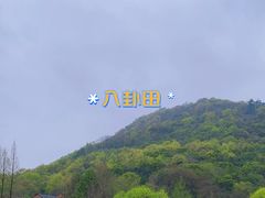 -八卦田遗址公园