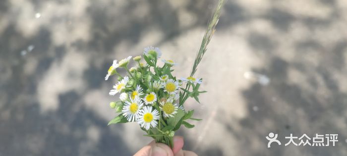 极速星辰卡丁车赛车场(西山店)图片