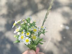 -极速星辰卡丁车赛车场(西山店)