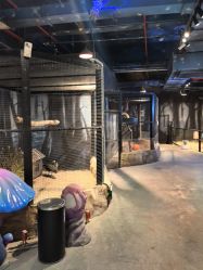 -酷嗒动物文化乐园(cutezoo西溪乐天城店)