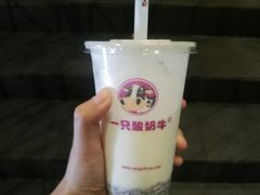 -一只酸奶牛(海珠美食街店)