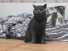 -佳雯宠物医院·皮肤科·内外科(春晓路分院)