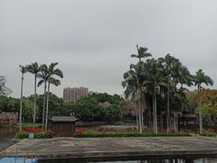 -荔湾湖公园