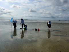 -北海金海湾红树林生态旅游区