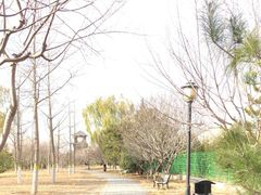 -永定河休闲森林公园