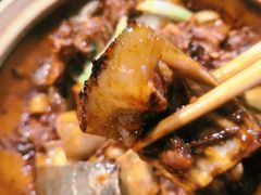 -金龙·打边炉(南京西路店)