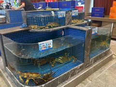 -骏莱海鲜鱼港(五角场店)