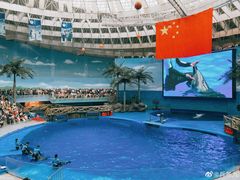 -海合安成都极地海洋公园