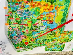 -上海共青森林公园