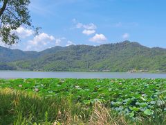 -东钱湖旅游度假区