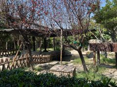 -上海野生动物园