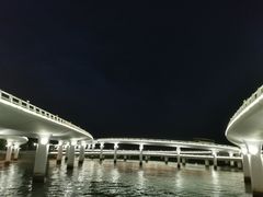 -演武大桥观景平台