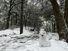 -西湖风景区十里琅珰-五云山