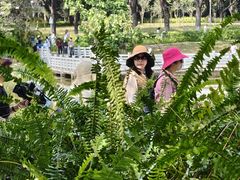 -东莞植物园