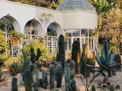 -深圳仙湖植物园