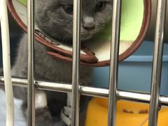 -安安宠医·安宠宠物医院