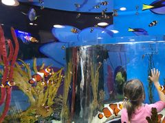 -瑞普利水族馆